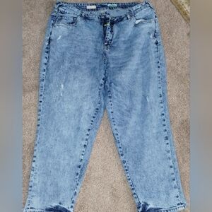 Anthropology Classic Blue Women's Jeans